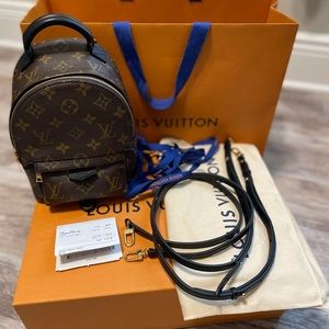 Louis Vuitton Palm Springs Mini backpack